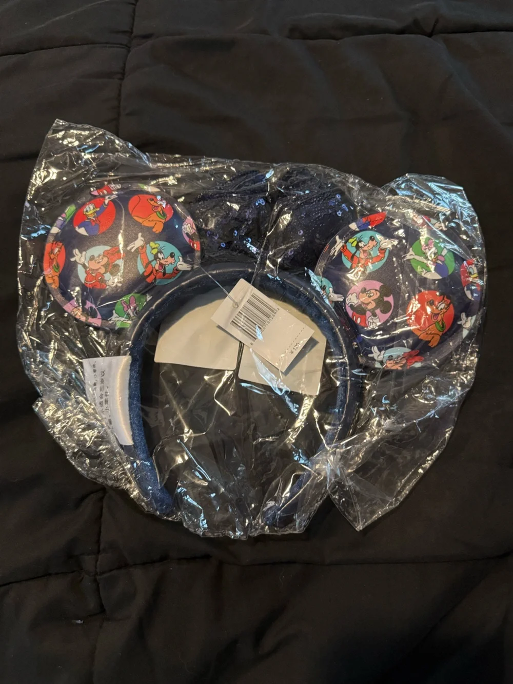 Mickey & Friends Ears